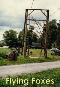 Flying Foxes